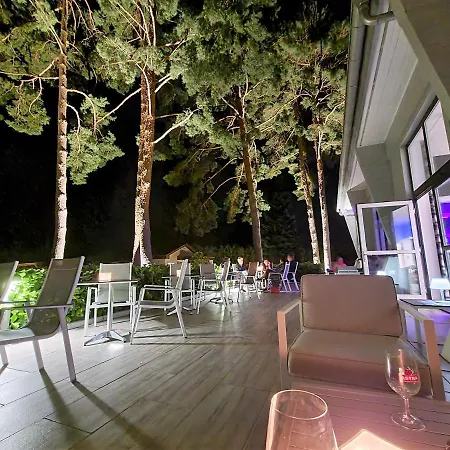 Art & Galerie Lenz Plauer See Fuenfseen