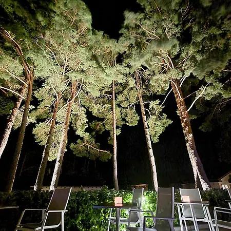 Art & Galerie Lenz Plauer See Hotel